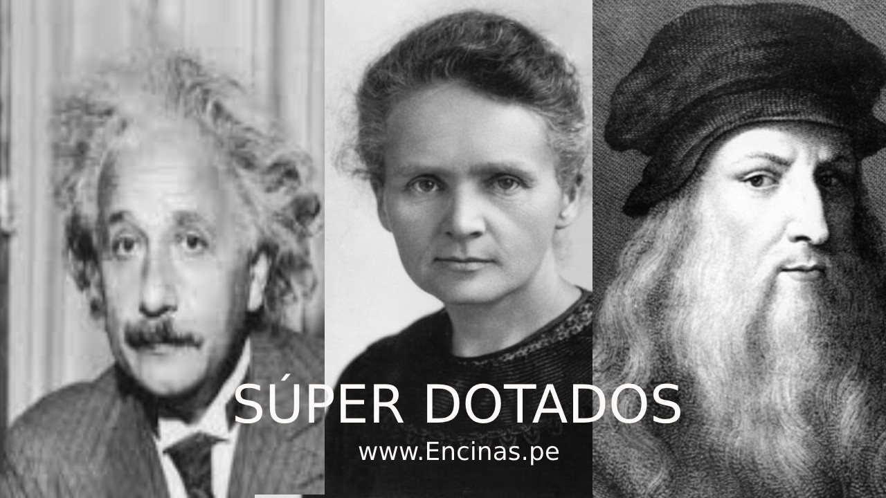 Explorando la Diversidad de la Inteligencia